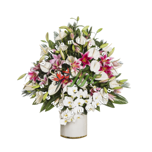 ستون 130 سانتی رنگی