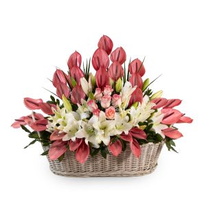 سبد بزرگ Xavia