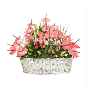 سبد گل صورتی