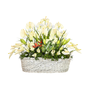 سبد گل سفید سایز بزرگ