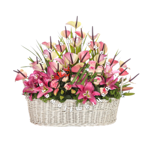 پایه گل رنگی