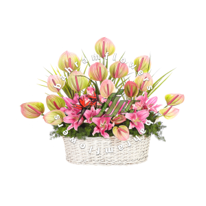 سبد رنگی سبز و صورتی متوسط