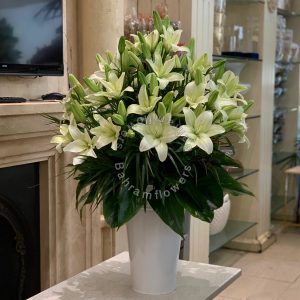 پایه سفید با لی لی