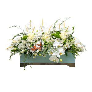 باکس سفید و سبز