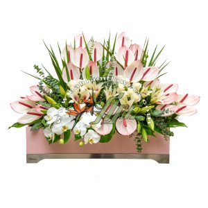 باکس صورتی بزرگ