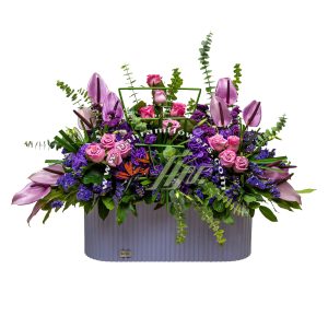 باکس بنفش متوسط